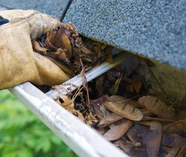 View All Mile High Gutter Cleaning Services