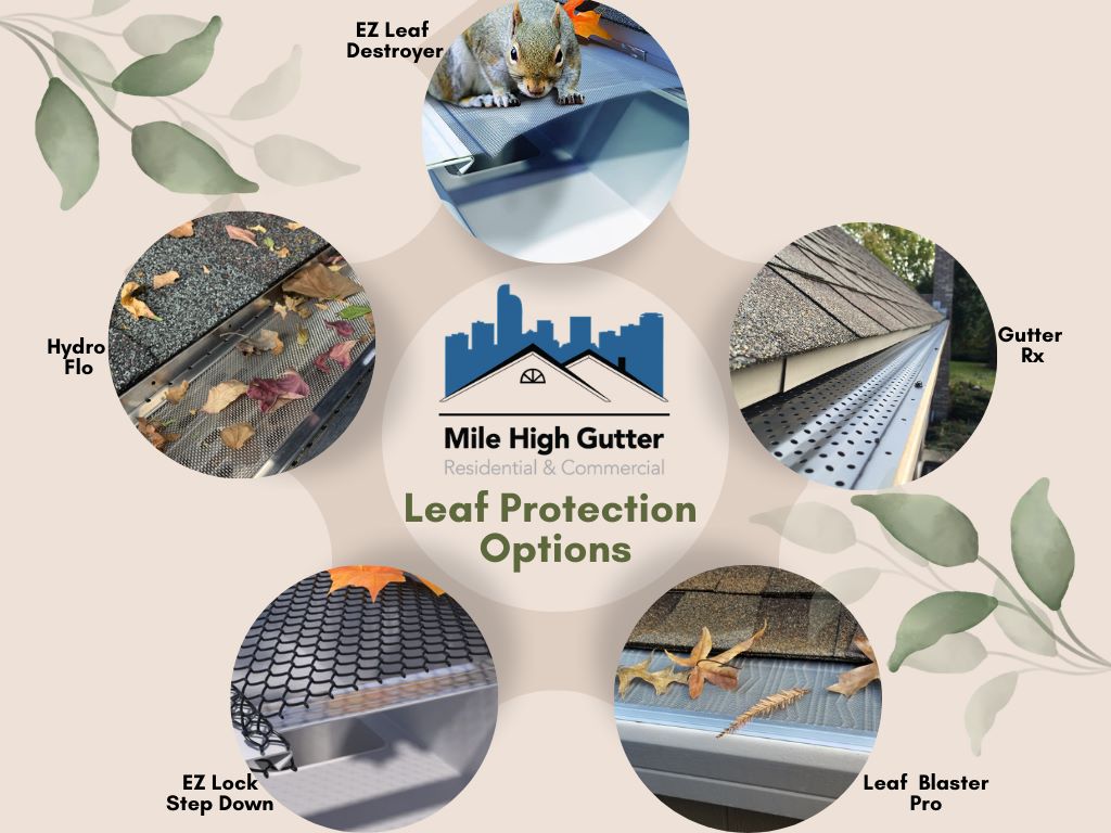 5 Leaf Protection Options